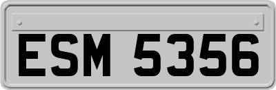 ESM5356
