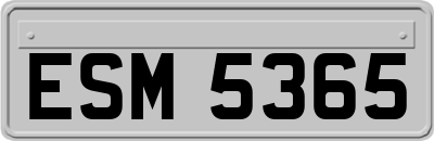 ESM5365