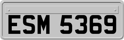 ESM5369
