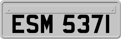 ESM5371