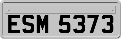 ESM5373