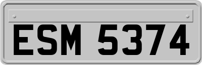 ESM5374