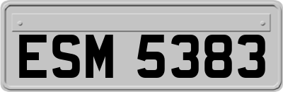 ESM5383