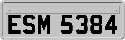 ESM5384