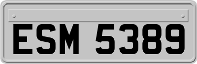 ESM5389