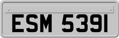 ESM5391