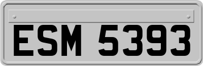 ESM5393