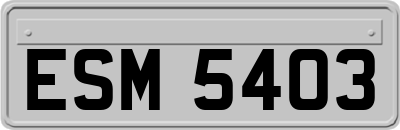ESM5403
