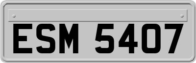 ESM5407