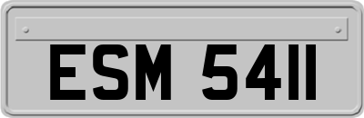 ESM5411