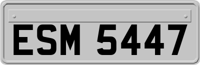 ESM5447