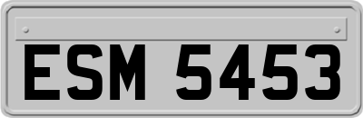 ESM5453