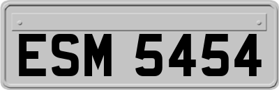 ESM5454