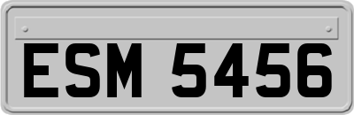 ESM5456