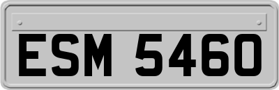 ESM5460