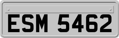 ESM5462