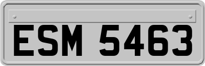 ESM5463