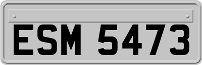 ESM5473