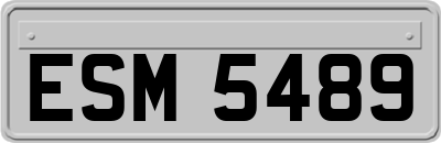 ESM5489