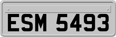 ESM5493