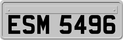 ESM5496