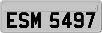 ESM5497
