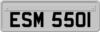 ESM5501