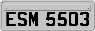 ESM5503