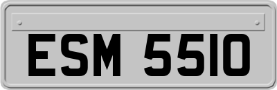 ESM5510