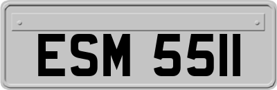 ESM5511