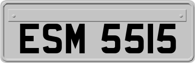 ESM5515