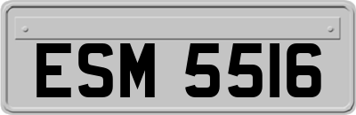 ESM5516