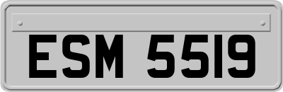 ESM5519