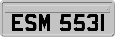 ESM5531