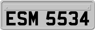 ESM5534