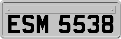 ESM5538