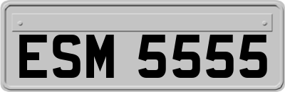 ESM5555