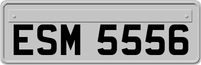 ESM5556