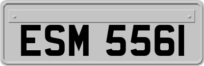 ESM5561