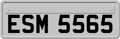 ESM5565
