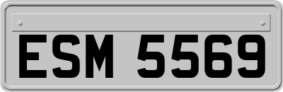 ESM5569