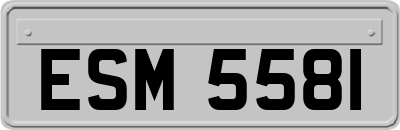 ESM5581