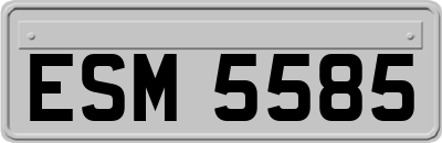 ESM5585
