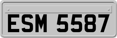 ESM5587