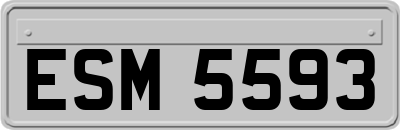 ESM5593