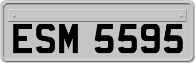 ESM5595