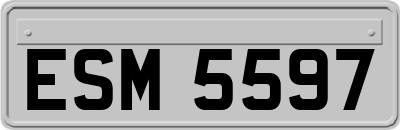 ESM5597