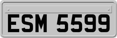 ESM5599