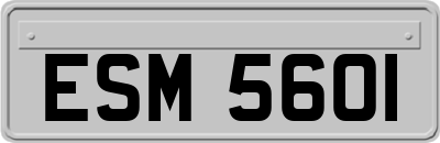 ESM5601