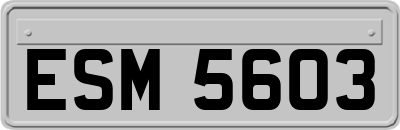 ESM5603